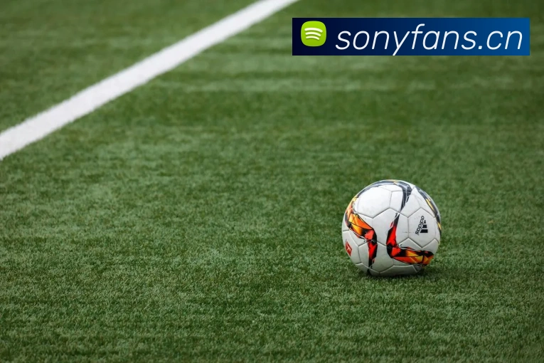 人人体育直播发展历程